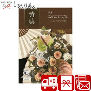 Ε  2025 J^OMtg S A ͂ kihada |Ε v[g  MtgJ^O 5000~ O G i 蕨 j Mtg җ j j Vzj oY