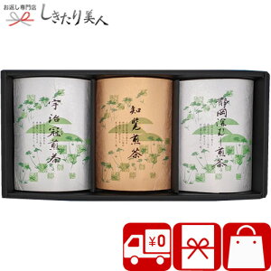 Ε  2025 F ԂEmEÉ [ GT-50 |  Mtg 5000~  Β 3Yn s  É { lߍ킹 {ih  i yY TԂ 