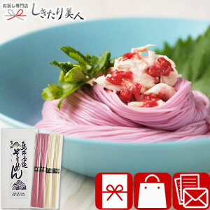 Ε  2025 g߂4 200g SC-A |Ε N N VN Nn A    NLO gZbg ɂイ߂ f  600~ 1000~ȉ v`Mtg Ԃ f 