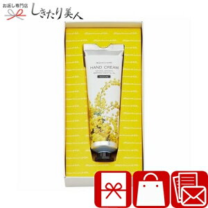 Ε 2025 ~A~U nhN[ 225262-04 | N v[g 1500~ 2000~ȉ nhN[ r ~U {  ޏ e XLPA e ObY nhPA   