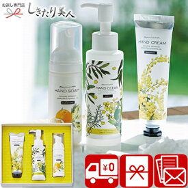 お歳暮 2025 ミアミモザ ハンドクリーム＆ハンドクリーンジェル＆ハンドソープ 225262-07 | お年賀 プレゼント 5000円 ハンドクリーム ハンドソープ 出産祝い 手荒れ対策 ハンドケア ミモザ製油 日本製 女性向け 彼女 母親 スキンケア 美容 保湿 お祝い 内祝い 引