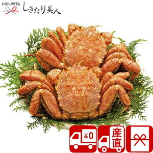 お歳暮 早割 2025 【送料無料 産地直送】北海道産ボイル毛がに2尾 V34301 |お歳暮 お年賀 プレゼント 食べ物 ギフト 1万円 お取り寄せ 海鮮 カニ 蟹 かに 魚介 グルメ 食品 出産 新築 退院 内祝い