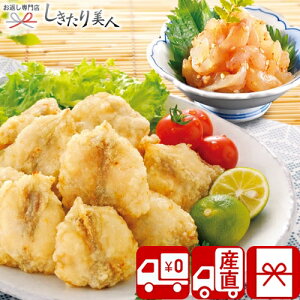 Ε  2025 y YnzւƂ{X ӂgEƂӂhZbg V34803 | CN ͓ tO O Hו Hi   т̂X oY Vz މ@ j j 