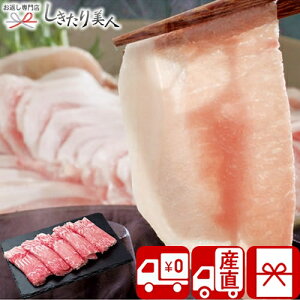 Ε  2025 y Ynz C|[NԂ V34907 | N  O Zbg ؓ  Hו Hi Vz މ@ C j җ j Ԃ 