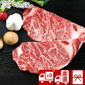 Ε  2025 y YnzkC݂ӂ̘aT[CXe[Lp V35602 | uh   Y a O r[t Mtg rteL  蕨   