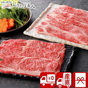 Ε  2025 y Ynz{Y {錧Y  No50 V35606 | N uh   Y a O r[t 5000~Mtg Zbg  蕨  V