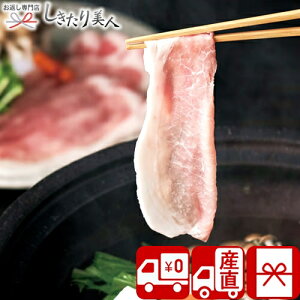 Ε  2025 y Ynz{Y ܂ SPF Ԃ V35708 | N  O ؓ Mtg ԂԃZbg Hו j ސE j Vj 