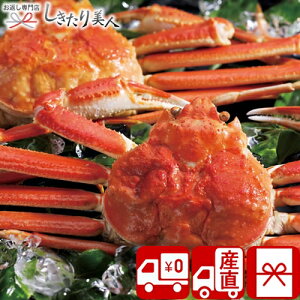 お歳暮 早割 2025 【送料無料 産地直送】ボイルずわいがに姿2尾 No100 V36003 | お年賀 海鮮 カニ 蟹 ズワイガニ かに 魚介 グルメ 食べ物 食品 出産 新築 退院 内祝い 退職 還暦 お祝い お返し お礼