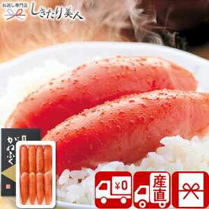 y Ynz˂ӂ F炵q No52 V36102 |Ε  N 炱 hqq ߂񂽂 ܂ т̂  y Mtg   yY  