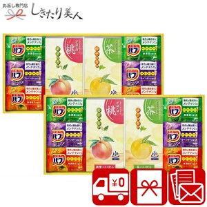 お歳暮 早割 2025 炭酸力の薬用入浴剤セット 2542-06 | お年賀 送料無料 入浴剤ギフト 日用品 消耗品 お風呂セット 健康用品 バスグッズ ギフト 詰め合わせ 個包装 ご挨拶 粗品 帰省土産 手土産