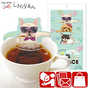 [։ DOG TERRACE hbOeX AbT52000 |g  eB[obO  Ck 킢 ObY v`Mtg 500~ z A Mtg  j Ԃ ߏ E Yx A A  e