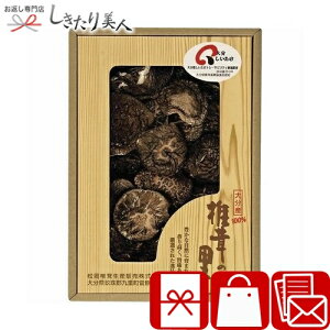 Ε  2025 ő̗ 啪Yő B1065614 |  ǂ ő TԂ @ @v e{ ei  zA Mtg  Vz މ@ C j j Ԃ 