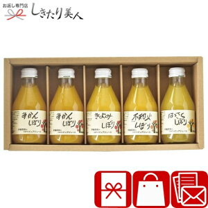 Ε  2025 ɓ_ 100%sAW[X5{MtgZbg C6174547 | N hNMtg Y ʏ`100 t[c W[X a̎R݂ ʕ j oYj Cj @ c{