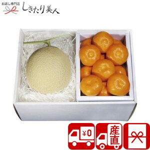 Ε  2025 yΕ  Ynz_Cʉ ݂l V6005527T |N   Y t[c ʕ }XN  ݂ t[c{bNX l