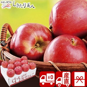 Ε  2025 yΕ  Ynz_Cʉ 쌧Y Tӂ V6005548T |N  VN  XC[c t[c ʕ ь  lߍ킹 NNn 