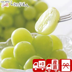 お歳暮 早割 2025 【御歳暮 送料無料 産地直送】ダイワ果園 シャインマスカット V6006517T |お年賀 寒中見舞い お取り寄せ スイーツ フルーツ 果物 マスカット 葡萄 詰め合わせ 新年 正月 挨拶回