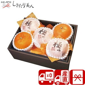 お歳暮 早割 2025 【御歳暮 送料無料 産地直送】ダイワ果園 愛媛県産 紅まどんな V6006524T |お年賀 冬ギフト 新年 お取り寄せ スイーツ 果物 みかん 国産 フルーツ 蜜柑 詰め合わせ ご挨拶 粗品