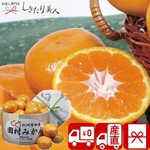 お歳暮 早割 2025 【御歳暮 送料無料 産地直送】ダイワ果園 和歌山県産 田村樽みかん V6006545T |お年賀 冬ギフト 新年 御年賀 お取り寄せ スイーツ 果物 国産フルーツ 蜜柑 詰め合わせ ご挨拶 粗