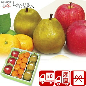 Ε  2025 yΕ  Ynz_Cʉ EC^[t[cl V6006566T |N   Y t[c ʕ EtX  ь ݂ m t