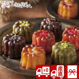 Ε  2025 yΕ  Ynz  WF GMXL[ ~jJk V6007535T |N  XC[c lC L fU[g  mَq Ăَq Jk