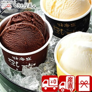 Ε  2025 yΕ  Ynz ~̔ZACXN[312 V6011545T |N  kC XC[c ACXN[ fU[g mَq َq   H