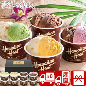 Ε  2025 yΕ  YnznCAz[Xg }J_~AibcACX V6012549T |N  XC[c ACXN[ fU[g mَq َq   H