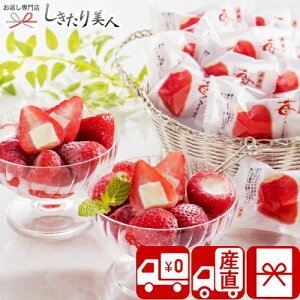 Ε  2025 yΕ  YnztE䕃ACX 20 V6012577T |N   C`S ʕ t[c XC[c ACXN[ fU[g mَq َq Hו Hi Aȓy