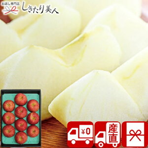 お歳暮 早割 2025 【御歳暮 送料無料 産地直送】信州サンふじりんご V6015530T |お年賀 寒中見舞い 新年 お取り寄せ スイーツ フルーツ 果物 林檎 りんご 詰め合わせ 年末年始 正月 挨拶回り 粗品