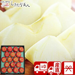 お歳暮 早割 2025 【御歳暮 送料無料 産地直送】信州サンふじりんご V6015547T |お年賀 寒中見舞い 新年 お取り寄せ スイーツ フルーツ 果物 林檎 りんご 詰め合わせ 年末年始 正月 挨拶回り 粗品