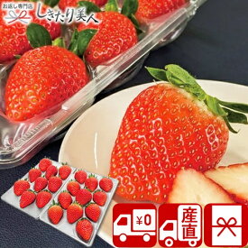 お歳暮 早割 2025 【御歳暮 送料無料 産地直送】いただきいちご園 福岡県産 いちご食べ比べギフト V6016516T |お年賀 新年 お取り寄せ スイーツ 果物 国産フルーツ 苺 詰め合わせ ご挨拶 粗品 帰省土産 手土産 品物 贈り物 クリスマス 寒中見舞い 7000円 1万円以下