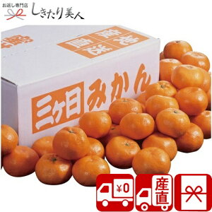 お歳暮 早割 2025 【御歳暮 送料無料 産地直送】静岡県産 三ケ日みかん V6016537T |お年賀 冬ギフト 新年 御年賀 お取り寄せ スイーツ 果物 国産フルーツ みかん 蜜柑 詰め合わせ ご挨拶 粗品 帰