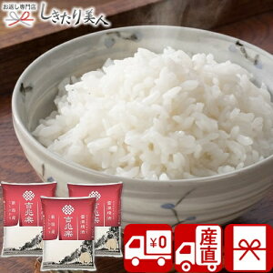 Ε  2025 yΕ  Ynzgy ቷ@ VYЂ f[U V6016558T |N VN ăMtg Y uh   Hו Hi Օi N