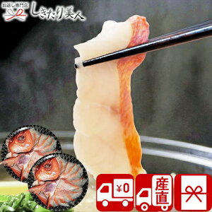 Ε  2025 yΕ  Ynzq肫ߑ Ԃ V6018594T |N  O ڑ L_C Zbg Hו Hi AȓyY yY  j 