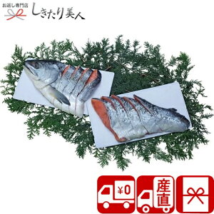 お歳暮 早割 2025 【御歳暮 送料無料 産地直送】北海道産銀毛新巻鮭姿切身 V6019514T |お年賀 新年 御年賀 荒巻きシャケ さけ 鮭 グルメ 食べ物 惣菜 おかず 海鮮 おせち 5000円以下 ギフト 詰め合