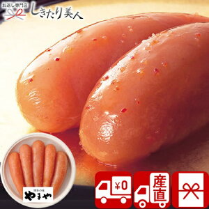 Ε  2025 yΕ  Ynz܂ ۔gFhqq V6021516T |N CN O ߂񂽂 炱 hqq т̂ y  Hו 4000~ ȉ  