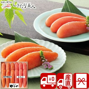 Ε  2025 yΕ  Ynz܂ hqq炱l V6021537T |N CN O ߂񂽂 炱 hqq т̂ y  Hו 6000~  j