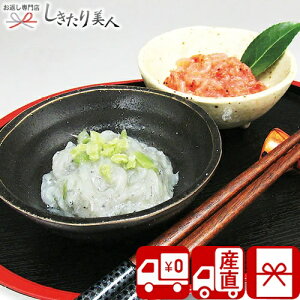 Ε  2025 yΕ  Ynzn x͘pсER炷ЃZbg V6021615T |N   O Ђ ώ CV aH  lߍ킹 