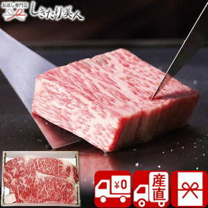 Ε  2025 yΕ  YnzsE^ YјaT[CXe[L V6024549T |N  O Mtg Y a  Xe[L  т̂