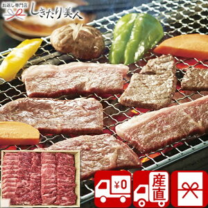 Ε  2025 yΕ  YnzsE^ Yјaēp V6024577T |N  O Mtg Y a  ēZbg lߍ킹  т̂ 