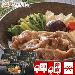 Ε  2025 yΕ  Ynz_g ̂ĂV V6029534T |N   O Mtg  ĂZbg y   Hו Hi A