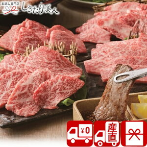 Ε  2025 yΕ  Ynz㋍ēHה4Zbg V6032530T |N   O Mtg  Y a uh ĂZbg Hו H