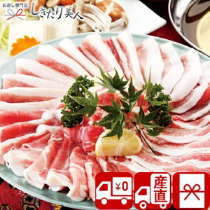 Ε  2025 yΕ  YnzY ؁ȕv [XԂԗp V6033579T |N VN   Y a Mtg Hו Hi Zbg ꖜ~ 