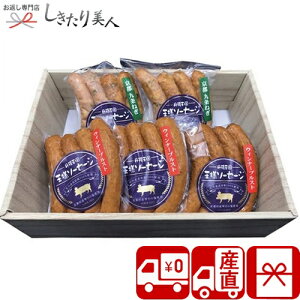 Ε  2025 yΕ  YnzOg؃\[Z[WZbg V6040524T |N oYj  O Mtg n \[Z[W ؓ y  т̂ Hו 