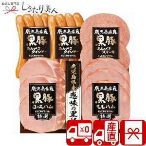 Ε  2025 yΕ  Ynzv}n Yb̍؃Mtg V6041560T |N  O Mtg ؓ n \[Z[W y  aH lߍ킹 e