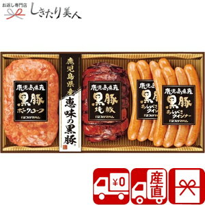 Ε  2025 yΕ  Ynzv}n Yb̍؃Mtg V6041598T |N  O \[Z[W x[R  nMtg Hו y  5000~ 