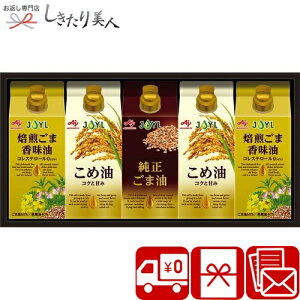 Ε  2025 yΕ z̑f ICZNVMtg V6060578 |N Mtg Zbg  NHi Ė ܖ ߖ Hi A yY ei ii ԗ