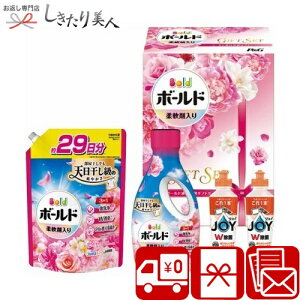 Ε  2025 yΕ zP&G {[ht̐܃MtgZbg V6064570 |N ܃Mtg t̐ R  pi Օi t p  lߍ킹  j j 