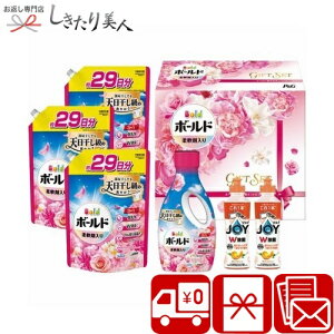 Ε  2025 yΕ zP&G {[ht̐܃MtgZbg V6064594 |N ܃Mtg t̐ R  pi Օi t p  lߍ킹  j j 