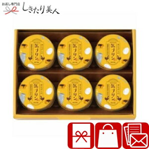 Ε  2025 yΕz䑺 ̂Ȃ̊ʃv V6081545 |N  XC[c fU[g mَq v َq َq َq Hו Hi AȓyY NX}X Mtg 蕨 