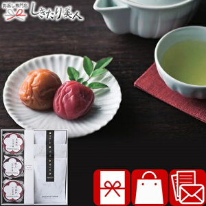 Ε  2025 Premium IB썂~{ZbgE A585 | N Β ~ ~ڂ  Ԃ  [ނ l 3500~ @ TԂ 蕨   Ԃ I Vz C